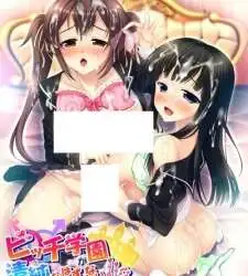 Bitch Gakuen ga Seijun na Hazu ga Nai!!? The Animation Episode 2